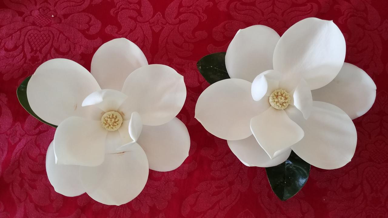 Fruits Of Vienna B&B Екстер'єр фото